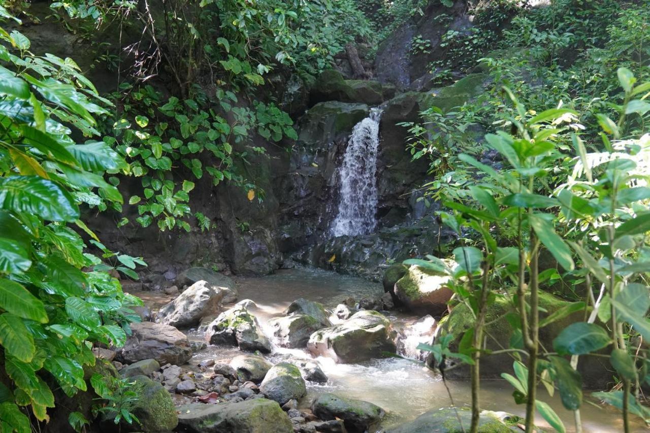 Rancho Burica Ξενοδοχείο Pavones  Εξωτερικό φωτογραφία